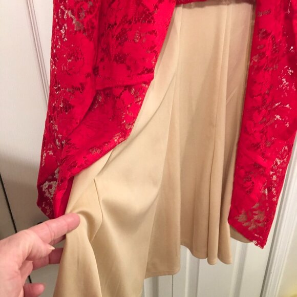 Julian Taylor Red Lace Dress - Picture 5 of 8